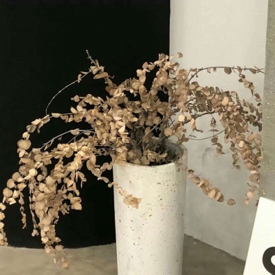 Furry萌系风格设计技巧Furry群